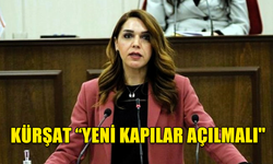 KÜRŞAT ''TURİST VE TURİZMİ ÖNEMSİYORSANIZ KARA SINIR KAPILARINDAKİ YIĞILMALARI ÇÖZÜN''