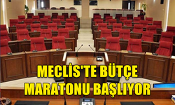 MECLİS'TE BÜTÇE MARATONU BUGÜN BAŞLIYOR