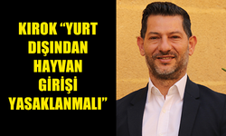 KIROK ''SOKAK HAYVANLARIYLA İLGİLİ ÇOK ACİL BİR YASAYA İHTİYAÇ VAR''