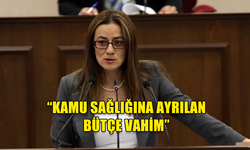 DERYA: KAMU SAĞLIĞINA AYRILAN BÜTÇE VAHİM