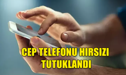 ERCAN HAVALİMANI'NDA MASA ÜZERİNDE UNUTULAN CEP TELEFONUNU ÇALAN ŞAHIS TUTUKLANDI!