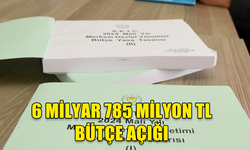 6 MİLYAR 785 MİLYON TL BÜTÇE AÇIĞI