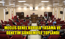 MECLİS GENEL KURULU YASAMA VE DENETİM GÜNDEMİYLE TOPLANDI