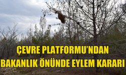 Çevre Platformu  bugün Lefke’de yarın Tarım ve Doğal Kaynaklar Bakanlığı önünde eylem yapacak