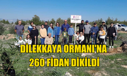 Dilekkaya Ormanı'na 260 fidan dikildi