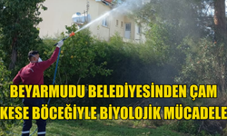 Beyarmudu Belediyesinden çam kese böceğiyle biyolojik mücadele