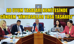 AB Uyum Yasaları Komitesinde  gündem “Kimyasallar Yasa Tasarısı”