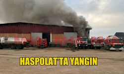 Fabrikada çıkan yangın korkuttu