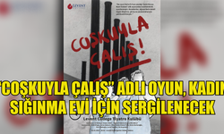 “Coşkuyla Çalış” adlı oyun, Kadın Sığınma Evi için sergilenecek