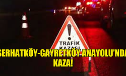 Serhatköy-Gayretköy Anayolu'nda kaza