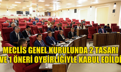 Meclis Genel Kurulunda 2 tasarı ve 1 öneri oybirliğiyle kabul edildi