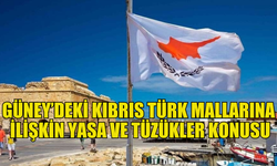 Güney Kıbrıs'taki Kıbrıs Türk mallarına ilişkin yasa ve tüzükler konusu