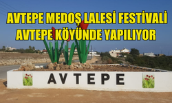 7. Avtepe Medoş Lalesi Festivali Pazar günü Avtepe köyünde yapılıyor