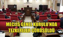 Meclis Genel Kurulu'nda tezkereler görüşüldü