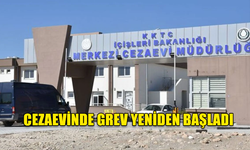 Kamu-İş, KTAMS ve KAMUSEN,Cezaevi’nde askıya aldığı grevi yeniden başlattı