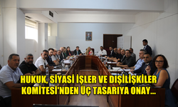 HUKUK, SİYASİ İŞLER VE DIŞİLİŞKİLER KOMİTESİ'NDEN ÜÇ TASARIYA ONAY...