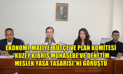 EKONOMİ, MALİYE, BÜTÇE VE PLAN KOMİTESİ “KUZEY KIBRIS MUHASEBE VE DENETİM MESLEK YASA TASARISI”NI GÖRÜŞTÜ