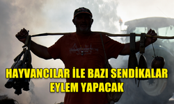 HAYVANCILAR İLE BAZI SENDİKALAR PAZARTESİ GÜNÜ BAŞBAKANLIK ÖNÜNDE EYLEM YAPACAK