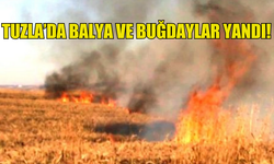 TUZLA’DA BALYA VE BUĞDAYLAR YANDI!