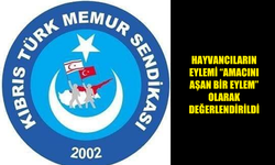 MEMUR-SEN HAYVANCILARIN EYLEMİNİ “AMACINI AŞAN BİR EYLEM” OLARAK DEĞERLENDİRDİ