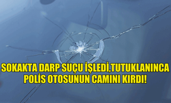 SOKAKTA DARP SUÇU İŞLEDİ,TUTUKLANINCA POLİS OTOSUNUN CAMINI KIRDI!