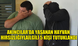 AKINCILAR’DA YAŞANAN HAYVAN  HIRSIZLIĞIYLAİLGİLİ 5 KİŞİ TUTUKLANDI