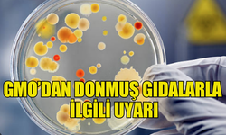 GMO’DAN DONMUŞ GIDALARLA İLGİLİ UYARI