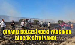 ÇINARLI BÖLGESİNDEKİ YANGINDA AĞAÇLAR, BİÇİLMEMİŞ ARPA, BUĞDAY, BALYA VE ANIZLAR YANDI