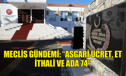 MECLİS GÜNDEMİ: “ASGARİ ÜCRET, ET İTHALİ VE ADA 74"