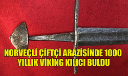 NORVEÇLİ ÇİFTÇİ ARAZİSİNDE 1000 YILLIK VİKİNG KILICI BULDU