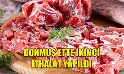 TOPRAK ÜRÜNLERİ KURUMU DONMUŞ ETTE İKİNCİ İTHALATI YAPTI