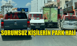 SORUMSUZ KİŞİLERİN PARK HALİ