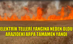 ELEKTRİK TELLERİ YANGINA NEDEN OLDU ARAZİDEKİ ARPA TAMAMEN YANDI