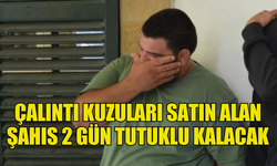 ÇALINTI KUZULARI SATIN ALAN ŞAHIS 2 GÜN TUTUKLU KALACAK