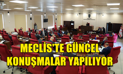 MECLİS'TE GÜNCEL KONUŞMALAR YAPILIYOR