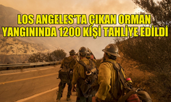 CALİFORNİA EYALETİNİN LOS ANGELES KENTİ YAKINLARINDA ÇIKAN ORMAN YANGININ HIZLA YAYILMASI SONUCU 1200 KİŞİ TAHLİYE EDİLDİ