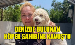 DENİZİN ORTASINDA MAHSUR KALAN KÖPEĞİN SAHİBİ ORTAYA ÇIKTI