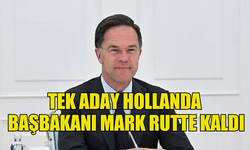 NATO GENEL SEKRETERLİĞİ İÇİN TEK ADAY HOLLANDA BAŞBAKANI MARK RUTTE KALDI