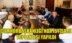 CUMHURBAŞKANLIĞINDA KIBRIS KONUSUYLA İLGİLİ GENİŞ KATILIMLI İSTİŞARE TOPLANTISI GERÇEKLEŞTİRİLDİ