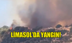 LİMASOL BÖLGESİNDE YANGIN ÇIKTI