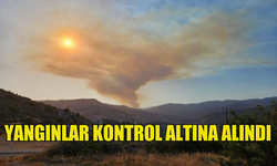 LİMASOL'DA ÇIKAN YANGINLAR KONTROL ALTINA ALINDI