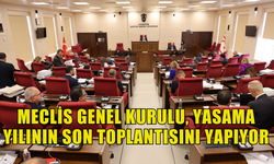 CUMHURİYET MECLİSİ GENEL KURULU, BUGÜN YASAMA YILININ SON TOPLANTISINI YAPIYOR