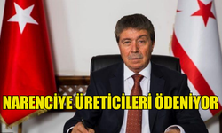 NARENCİYE ÜRETİCİLERİ ÖDENİYOR