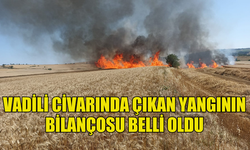 VADİLİ CİVARINDA ÇIKAN YANGININ BİLANÇOSU BELLİ OLDU