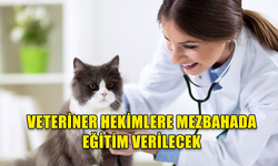 TARIM VE DOĞAL KAYNAKLAR BAKANLIĞI'NDAN VETERİNER HEKİMLERE YÖNELİK EĞİTİM