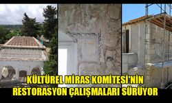 KÜLTÜREL MİRAS KOMİTESİ'NİN RESTORASYON ÇALIŞMALARI SÜRÜYOR