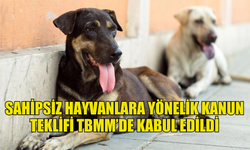 SAHİPSİZ HAYVANLARA YÖNELİK KANUN TEKLİFİNİ KABUL EDEN TBMM GENEL KURULU TATİLE GİRDİ