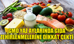 YAZ AYLARINDA YAŞANAN GIDA ZEHİRLENMELERİNE DİKKAT ÇEKTİ