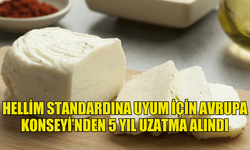 HELLİM STANDARDINA UYUM İÇİN AVRUPA KONSEYİ’NDEN 5 YIL DAHA SÜRE ALINDI