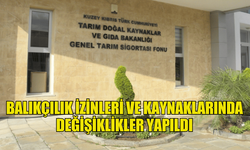 BALIKÇILIK İZİNLERİ VE SÜRDÜRÜLEBİLİR KULLANIM TÜZÜĞÜ'NDE BAZI MADDELERDE DEĞİŞİKLİK YAPILDI